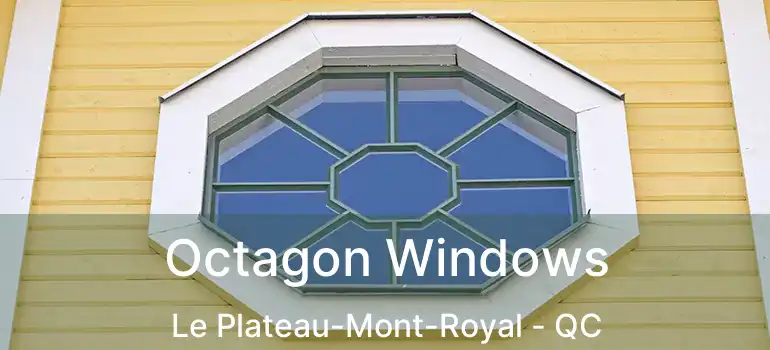  Octagon Windows Le Plateau-Mont-Royal - QC