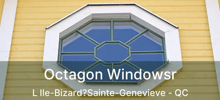  Octagon Windowsr L Ile-Bizard?Sainte-Genevieve - QC