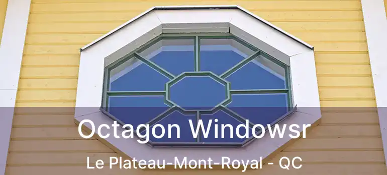  Octagon Windowsr Le Plateau-Mont-Royal - QC