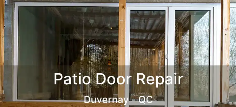  Patio Door Repair Duvernay - QC