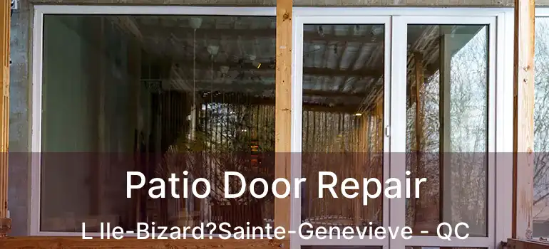 Patio Door Repair L Ile-Bizard?Sainte-Genevieve - QC