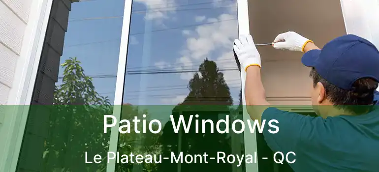  Patio Windows Le Plateau-Mont-Royal - QC