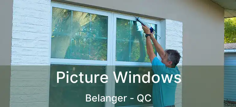  Picture Windows Belanger - QC