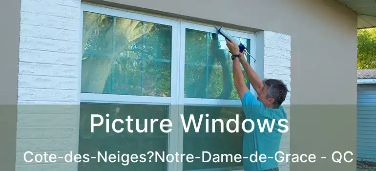  Picture Windows Cote-des-Neiges?Notre-Dame-de-Grace - QC