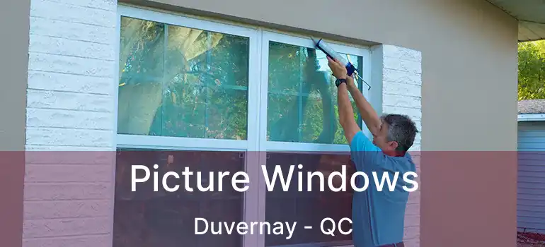  Picture Windows Duvernay - QC