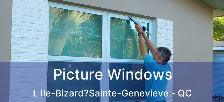  Picture Windows L Ile-Bizard?Sainte-Genevieve - QC