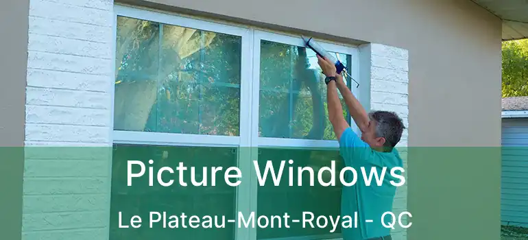  Picture Windows Le Plateau-Mont-Royal - QC