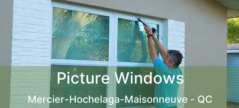  Picture Windows Mercier-Hochelaga-Maisonneuve - QC