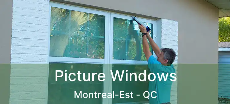  Picture Windows Montreal-Est - QC