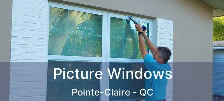  Picture Windows Pointe-Claire - QC