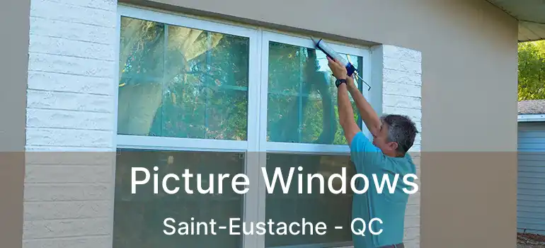  Picture Windows Saint-Eustache - QC