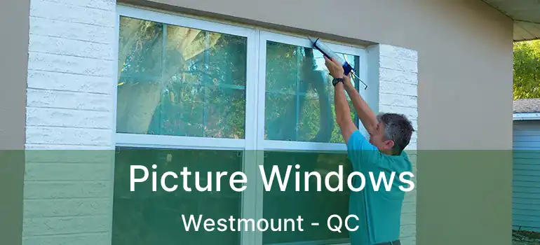  Picture Windows Westmount - QC