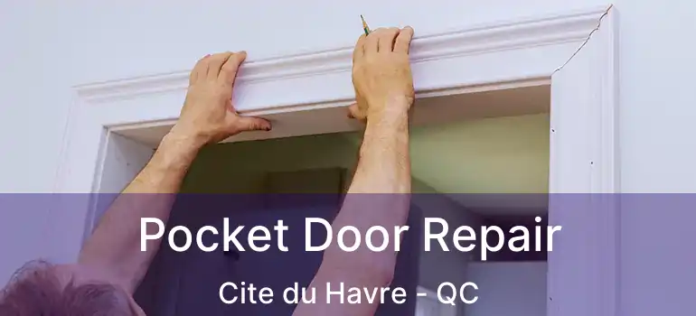  Pocket Door Repair Cite du Havre - QC