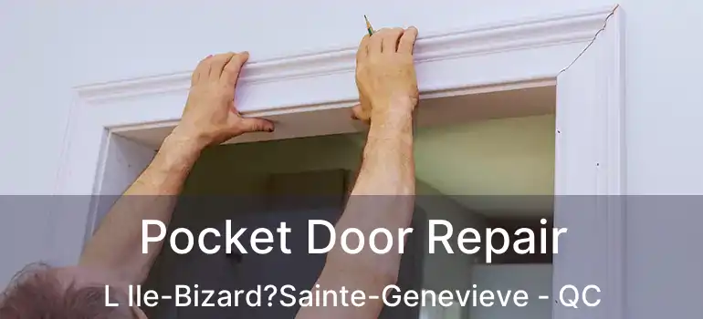  Pocket Door Repair L Ile-Bizard?Sainte-Genevieve - QC