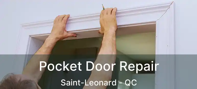  Pocket Door Repair Saint-Leonard - QC