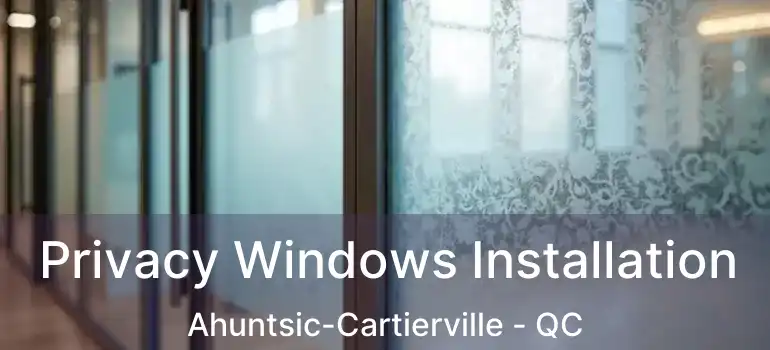  Privacy Windows Installation Ahuntsic-Cartierville - QC