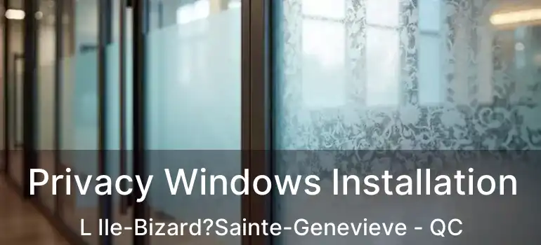  Privacy Windows Installation L Ile-Bizard?Sainte-Genevieve - QC