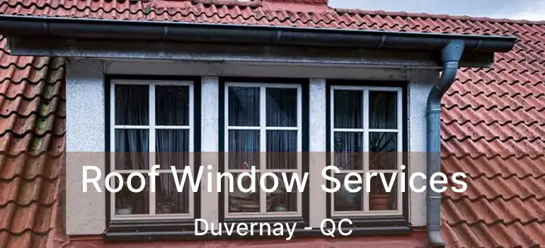  Roof Window Services Duvernay - QC
