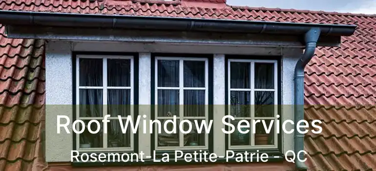  Roof Window Services Rosemont-La Petite-Patrie - QC