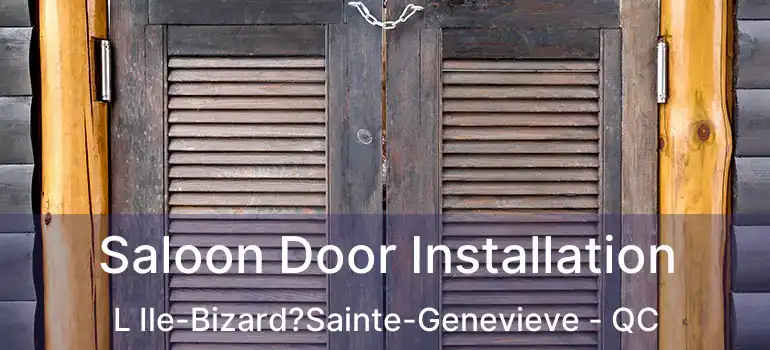  Saloon Door Installation L Ile-Bizard?Sainte-Genevieve - QC