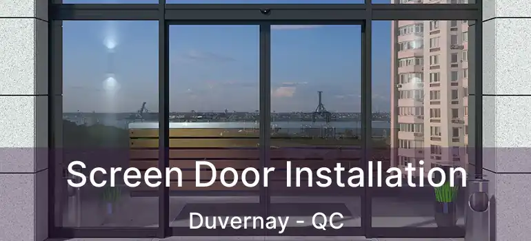  Screen Door Installation Duvernay - QC