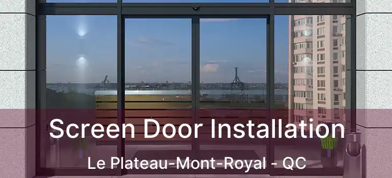  Screen Door Installation Le Plateau-Mont-Royal - QC