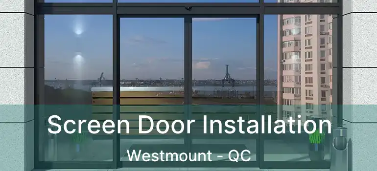  Screen Door Installation Westmount - QC
