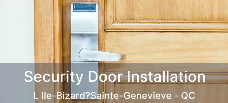  Security Door Installation L Ile-Bizard?Sainte-Genevieve - QC