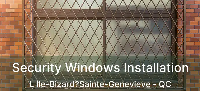  Security Windows Installation L Ile-Bizard?Sainte-Genevieve - QC