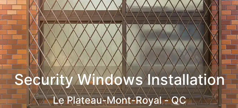  Security Windows Installation Le Plateau-Mont-Royal - QC