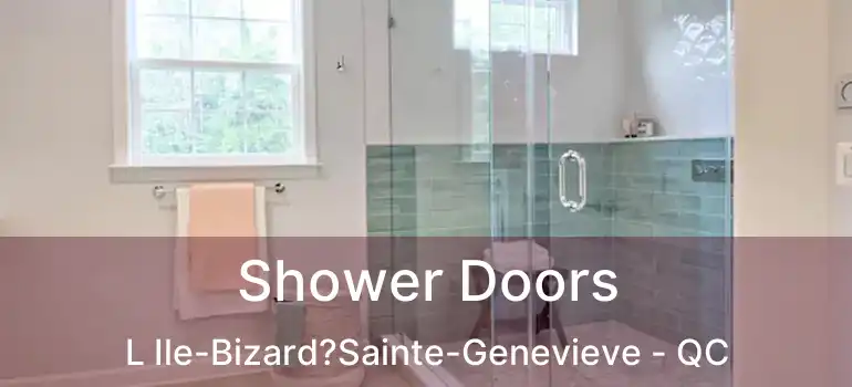  Shower Doors L Ile-Bizard?Sainte-Genevieve - QC