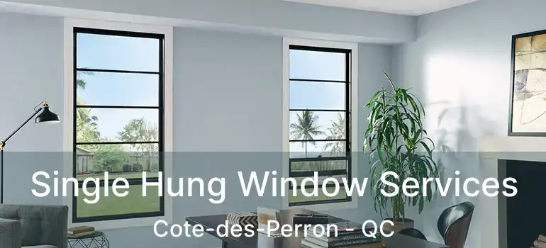  Single Hung Window Services Cote-des-Perron - QC