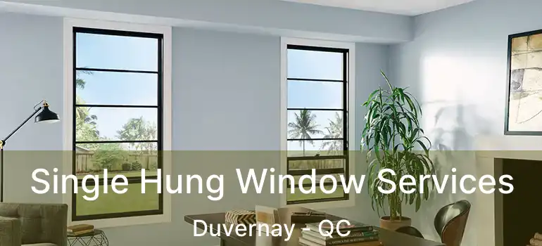  Single Hung Window Services Duvernay - QC