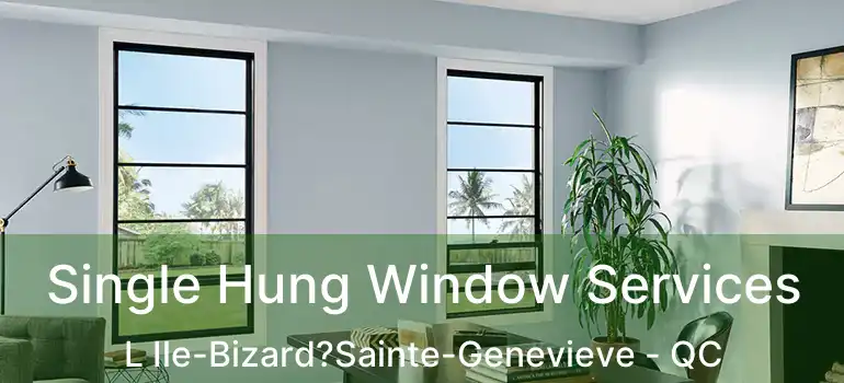  Single Hung Window Services L Ile-Bizard?Sainte-Genevieve - QC