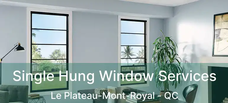  Single Hung Window Services Le Plateau-Mont-Royal - QC