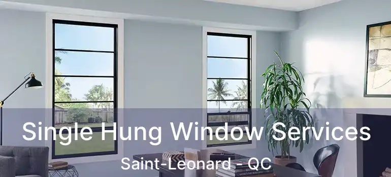  Single Hung Window Services Saint-Leonard - QC