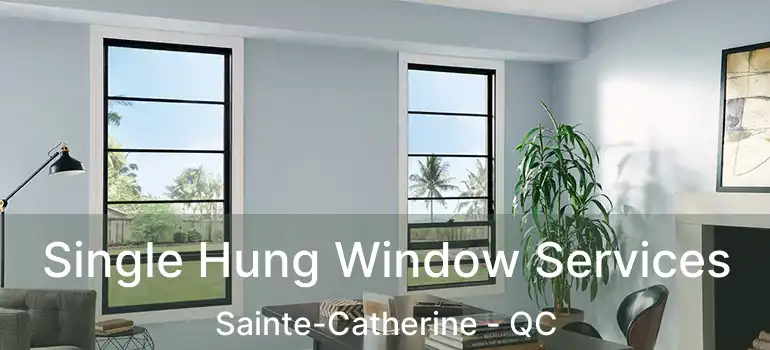  Single Hung Window Services Sainte-Catherine - QC