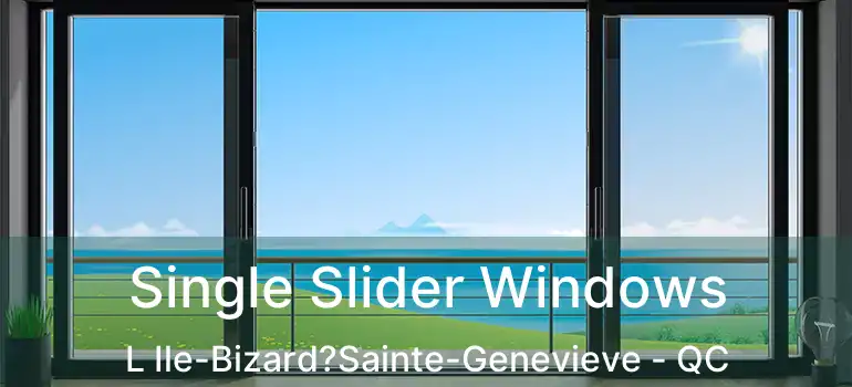  Single Slider Windows L Ile-Bizard?Sainte-Genevieve - QC