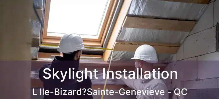  Skylight Installation L Ile-Bizard?Sainte-Genevieve - QC