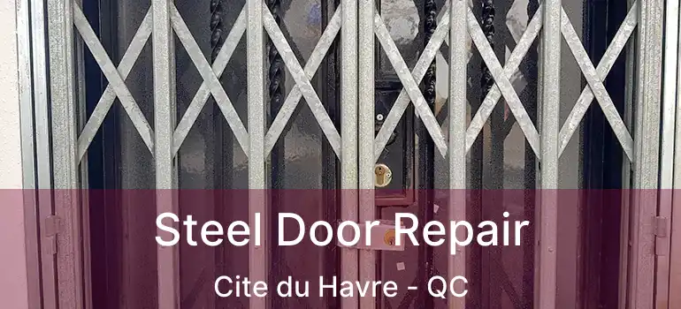  Steel Door Repair Cite du Havre - QC