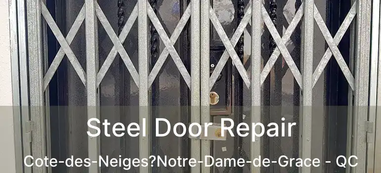  Steel Door Repair Cote-des-Neiges?Notre-Dame-de-Grace - QC