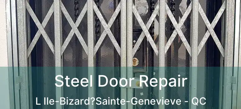  Steel Door Repair L Ile-Bizard?Sainte-Genevieve - QC