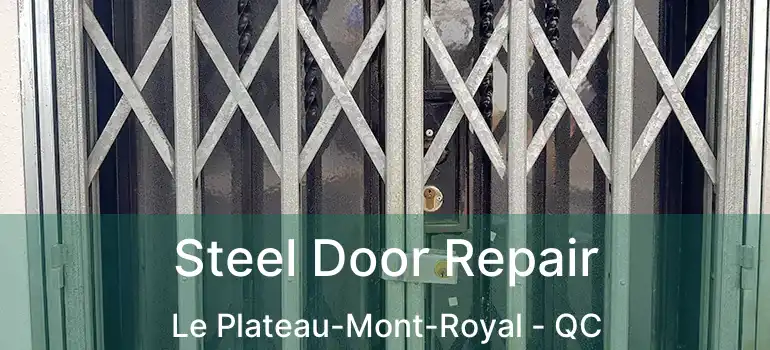  Steel Door Repair Le Plateau-Mont-Royal - QC