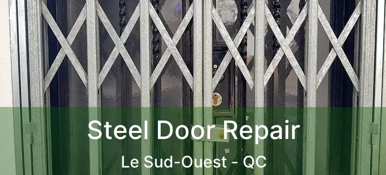  Steel Door Repair Le Sud-Ouest - QC
