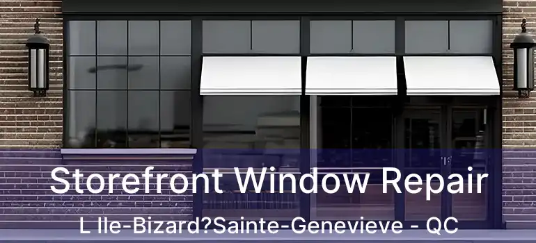  Storefront Window Repair L Ile-Bizard?Sainte-Genevieve - QC
