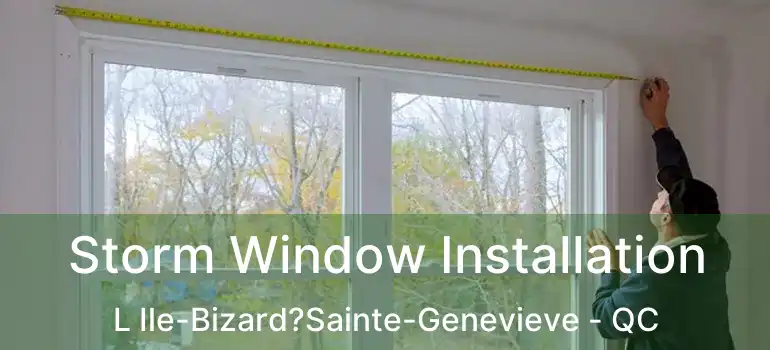  Storm Window Installation L Ile-Bizard?Sainte-Genevieve - QC