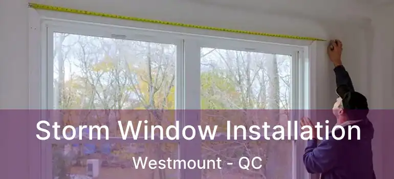  Storm Window Installation Westmount - QC
