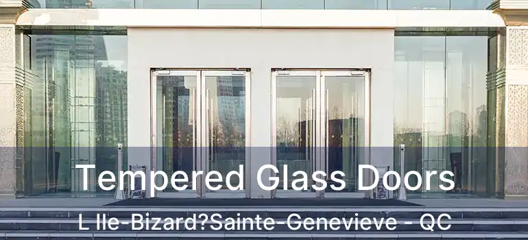  Tempered Glass Doors L Ile-Bizard?Sainte-Genevieve - QC