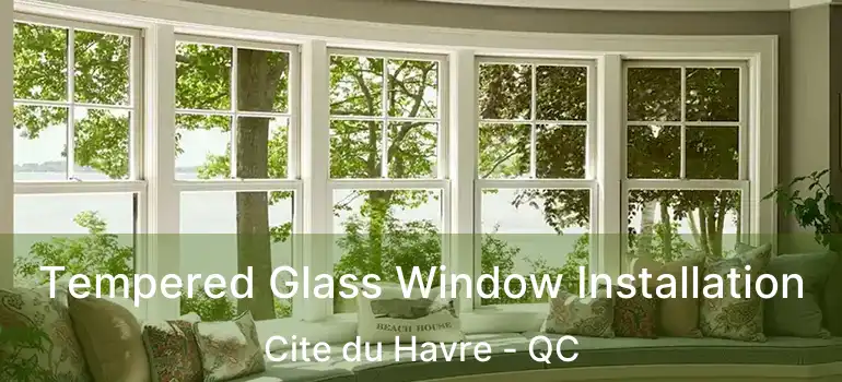  Tempered Glass Window Installation Cite du Havre - QC