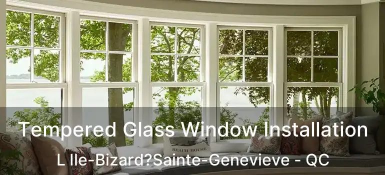  Tempered Glass Window Installation L Ile-Bizard?Sainte-Genevieve - QC